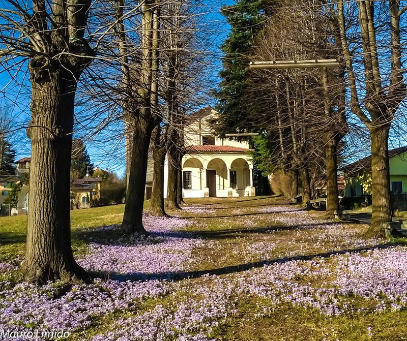 Tradate Madonna delle Vigne